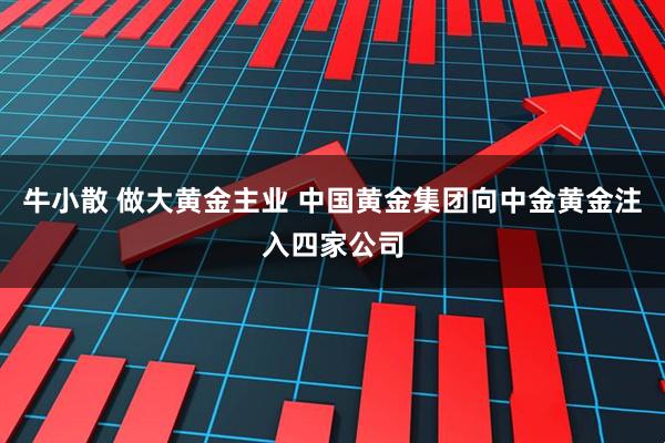 牛小散 做大黄金主业 中国黄金集团向中金黄金注入四家公司