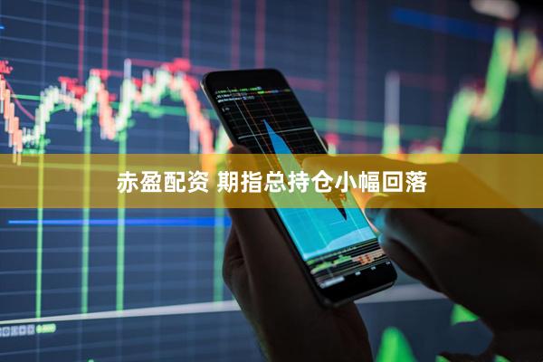 赤盈配资 期指总持仓小幅回落